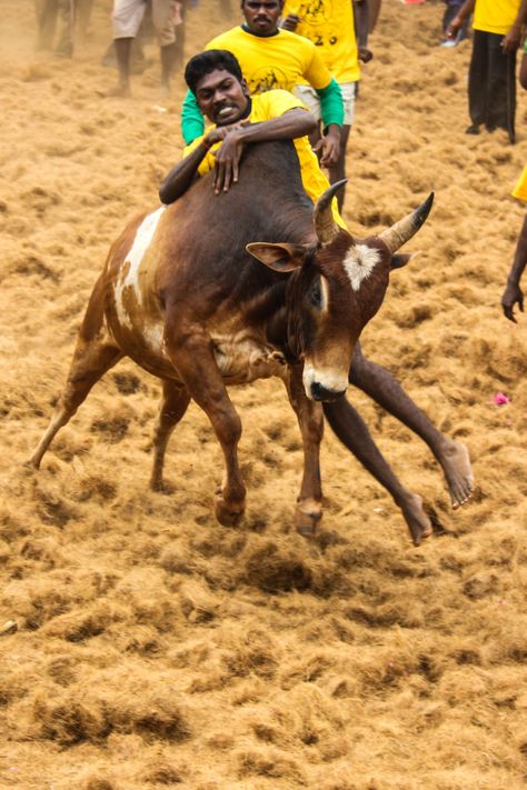 Bhoota Kola